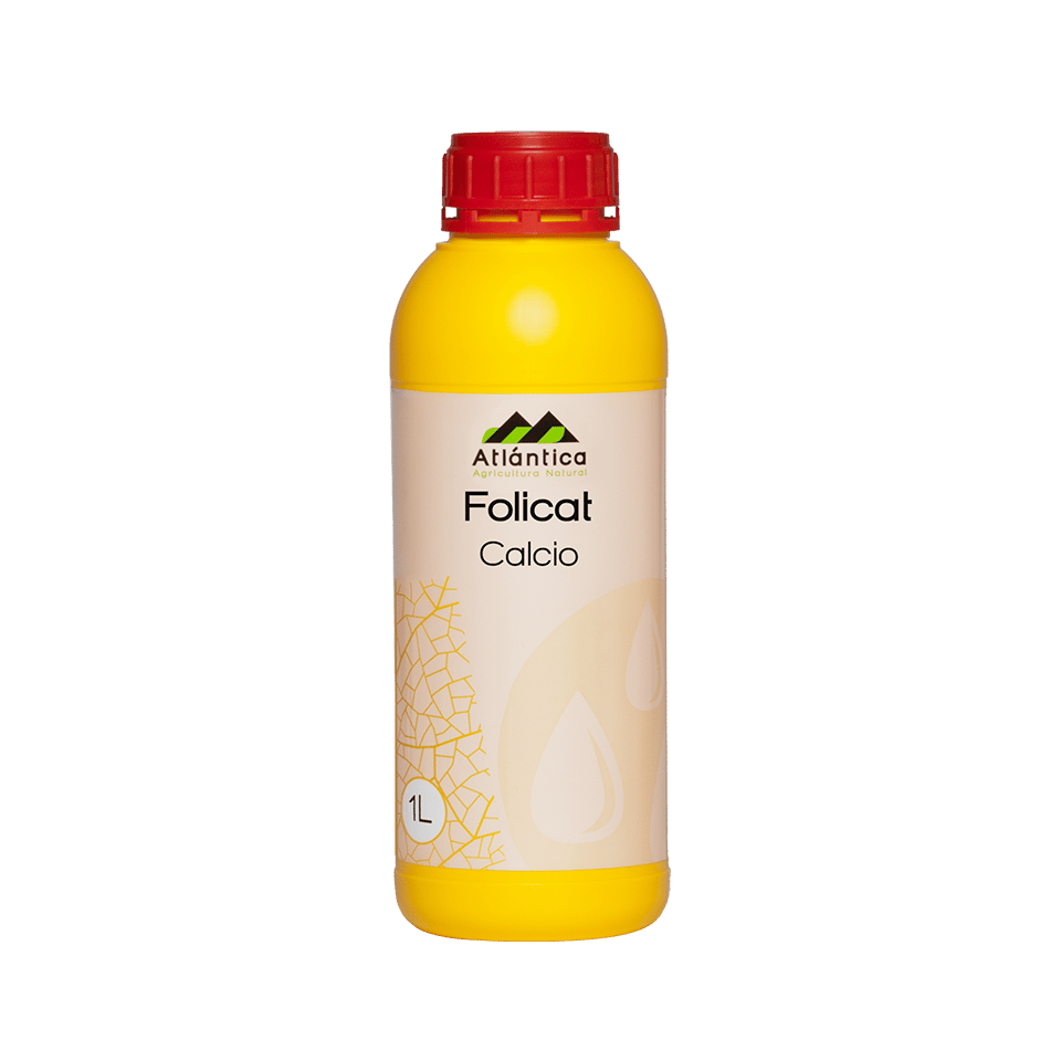 Folicat Calcium